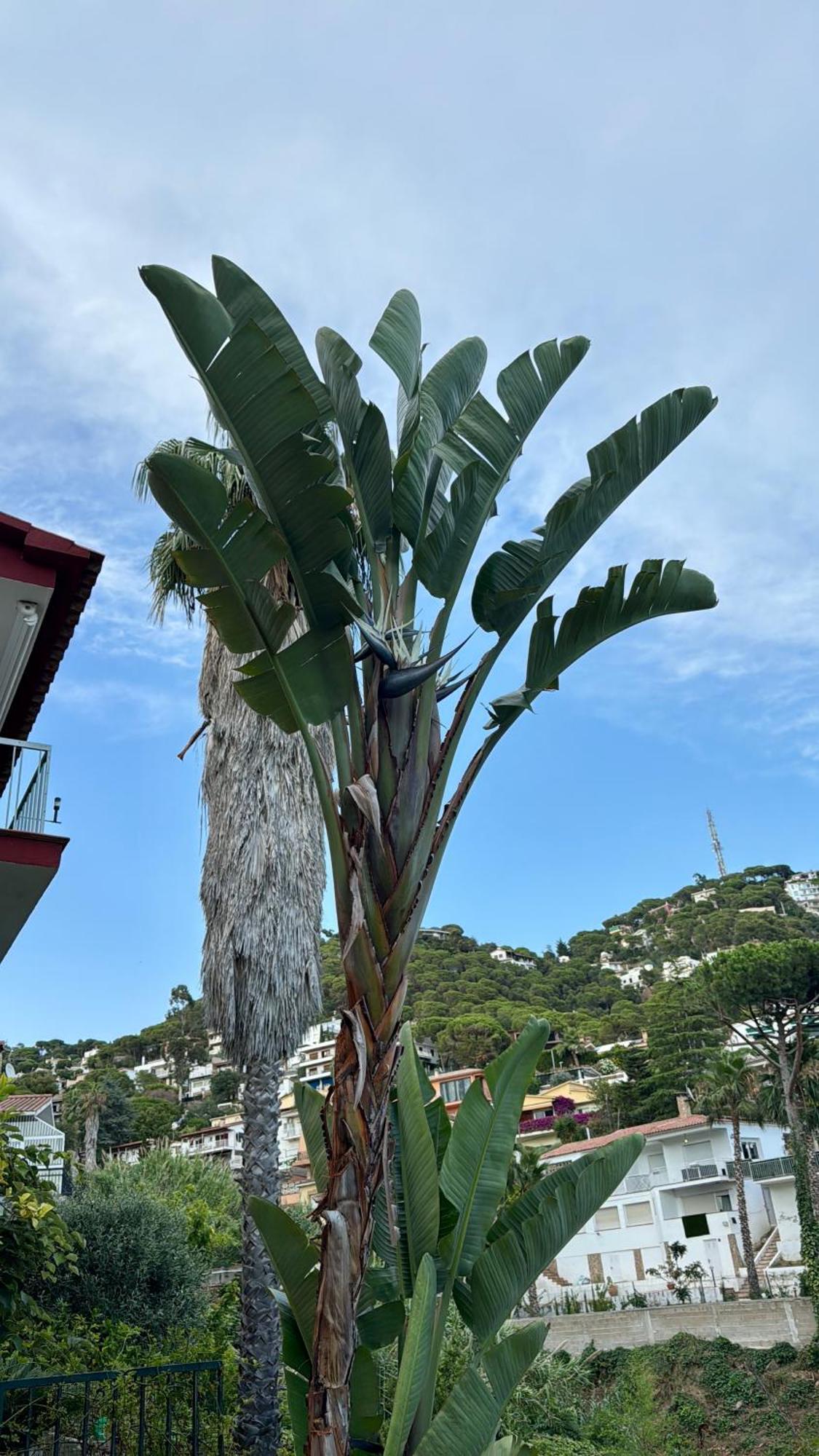 Hébergement de vacances Casa Con Vistas Al Mar Y Piscina Privada Lloret de Mar