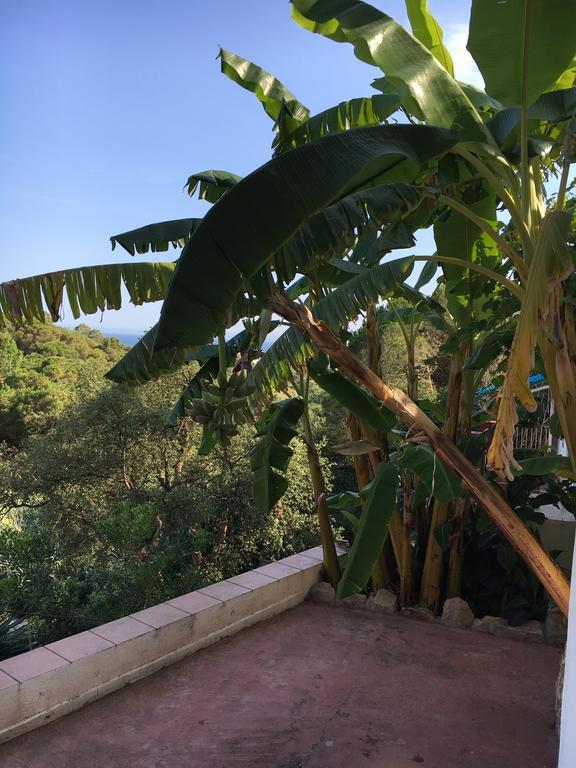 Casa Con Vistas Al Mar Y Piscina Privada Hébergement de vacances Lloret de Mar